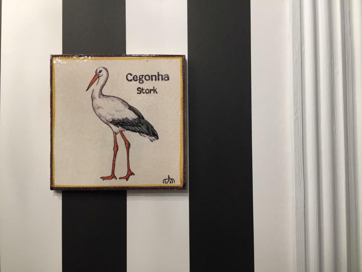 塞图巴尔 Carnot House酒店 外观 照片